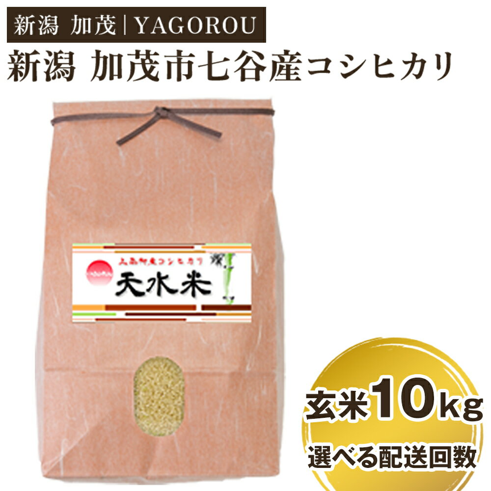 【ふるさと納税】【令和7年産新米先行予約】新潟県加茂市 七谷産コシヒカリ 玄米10kg 選べる配送回数（通常配送1回〜定期便6回） 《10月中旬～順次発送》 新潟産コシヒカリ 豊かな山水で育った天水米 加茂市 YAGOROU ヤゴロウ