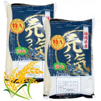 【令和5年産】福岡県産米食べ比べ＜白米＞「夢つくし」と「元気つくし」セット計20kg 宇美町