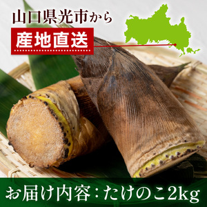 AW0101 たけのこ 朝掘り 2kg 米ぬか不要【先行予約】2027年4月順次発送 筍 タケノコ 国産 野菜 旬 新鮮 採りたて 煮物 味噌汁 炊き込みご飯 山口県 光市 室積たけのこ園
