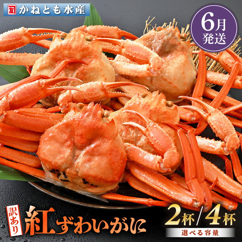 【ふるさと納税】【訳あり】≪浜茹で≫越前産 紅ずわいがに 約700g × 2杯 ～ 4杯 食べ方しおり付【紅ズワイガニ カニ かに 蟹 姿 ボイル 冷蔵 福井県】【6月発送分】希望日指定不可