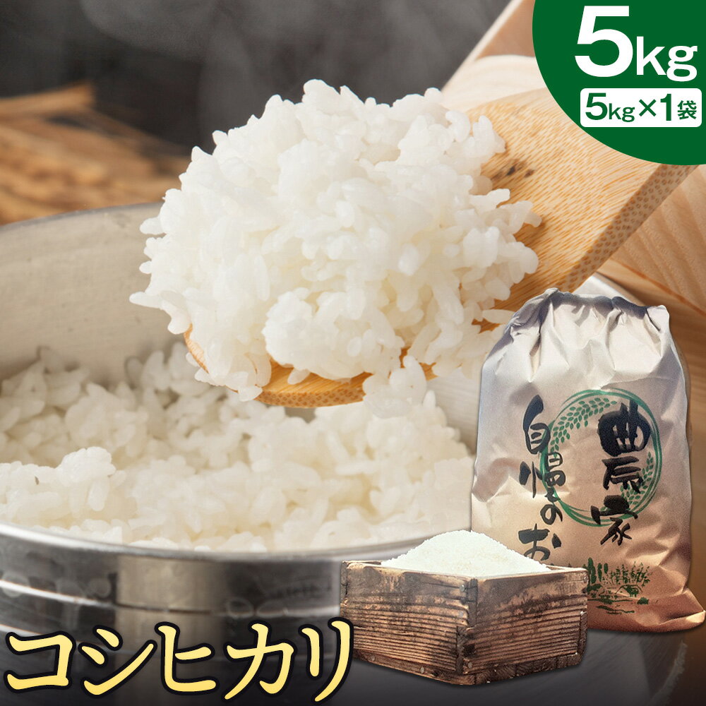 【ふるさと納税】 超早期米 コシヒカリ こしひかり 5kg 米 早期米 天草 苓北 田嶋ファーム《30日以内に出荷予定(土日祝除く)》 国産 九州 熊本 熊本県産