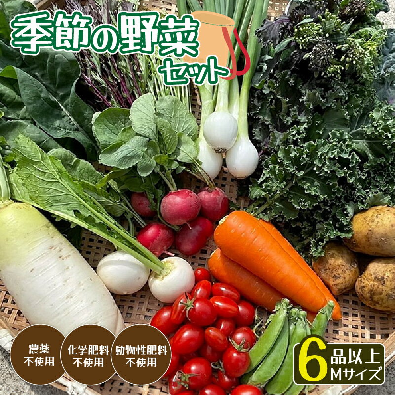 【ふるさと納税】季節の野菜セットM 5〜8種類（約4kg）【 国産 旬 季節の野菜 詰め合わせ セット 農薬不使用 無農薬 産地直送 京野菜 京都 綾部 】