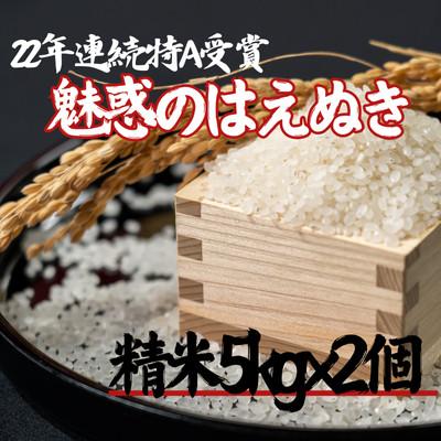 ふるさと納税 新庄市 魅惑のはえぬき(精米)10kg(5kg×2袋)　令和8年産