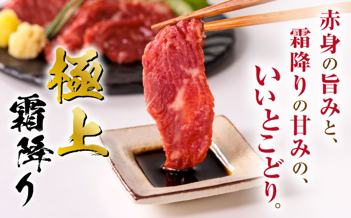 【全12回定期便】【熊本肥育】熊本ならでは！霜降り馬刺しをたっぷり楽しむセット 約500g 専用醤油付き 霜降り 中トロ 馬刺し 熊本 冷凍 馬肉 馬刺 ヘルシー 真空 パック 【株式会社 利他フーズ