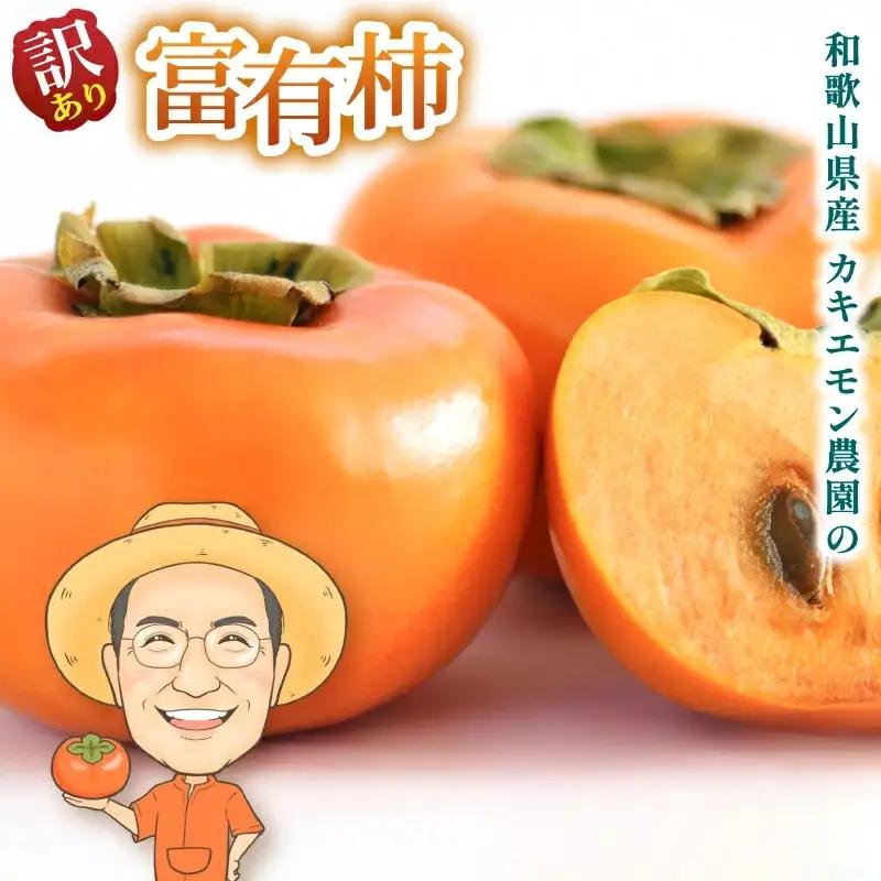 富有柿 約2kg(箱込) 【訳あり・ご家庭用】カキエモン農園 【2025年11月下旬～12月下旬頃順次発送】【BX-kkem031】