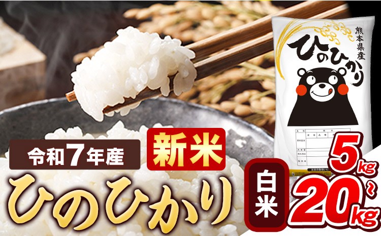 
            新米 令和7年産  白米 ひのひかり 《内容量をお選びください》5kg 10kg 15kg 20kg 《11月上旬頃まで出荷》熊本県産 ふるさと納税 精米 ひの 米 こめ ふるさとのうぜい ヒノヒカリ コメ お米 おこめ 
          