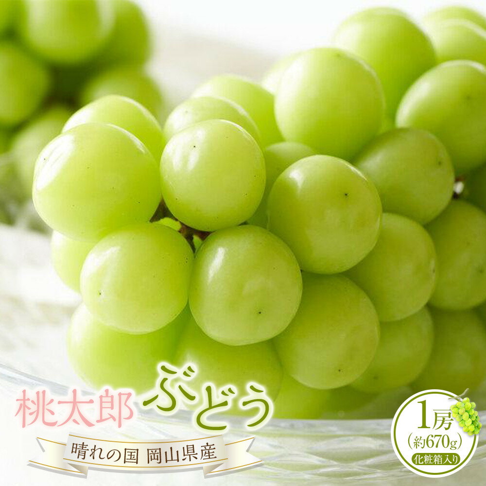 【ふるさと納税】ぶどう 2026年 桃太郎 ぶどう 1房（1房約670g）化粧箱入り マスカット ブドウ 葡萄 岡山県産 国産 フルーツ 果物 ギフト | フルーツ 果物 くだもの 食品 人気 おすすめ 送料無料