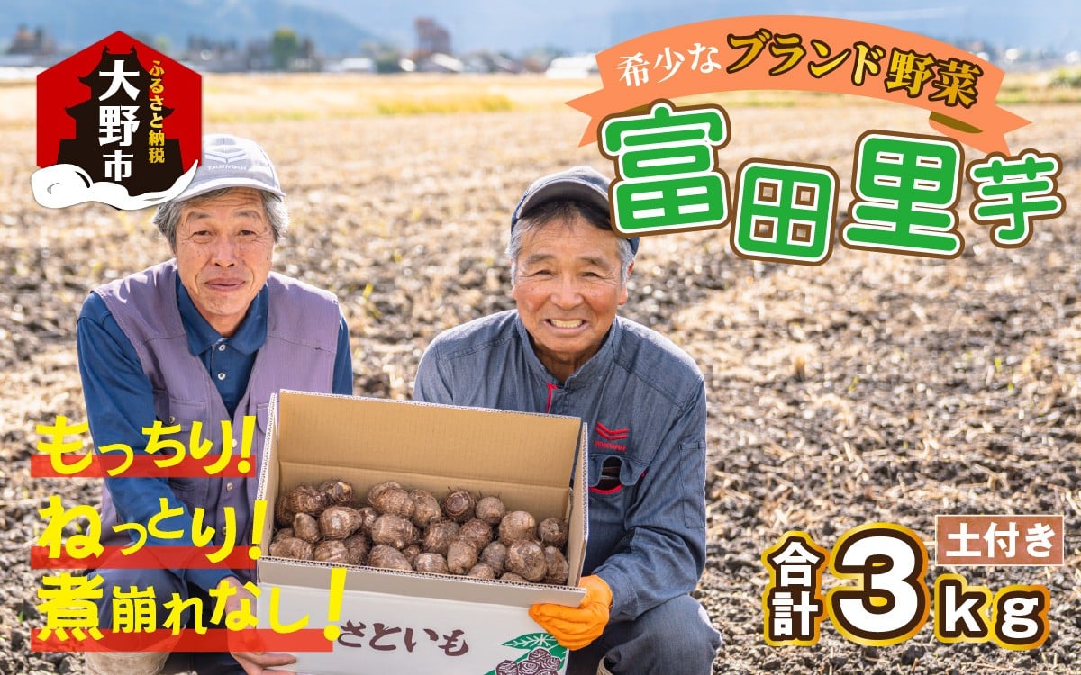 
                  【先行予約】希少！とみた里芋 3kg ねっとりまろやか煮崩れなし！【2026年3月中旬～4月上旬出荷】
                