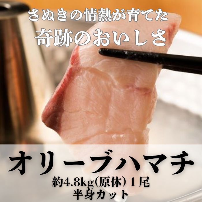 オリーブハマチ１本まるごと（半身カット）【予約受付：令和8年10月中旬頃から出荷開始！】【C-312】