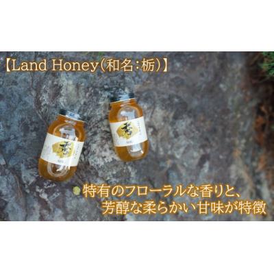 ふるさと納税 久慈市 北緯40度はちみつ 木箱入り「秀-SHU-」とち 1,200g×2本セッ |  | 02