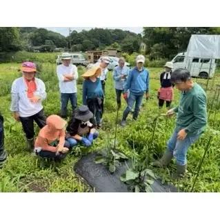 軽井沢自給農講座　受講券（自給農Bコース）　自給自足カレッジ軽井沢校 農業体験