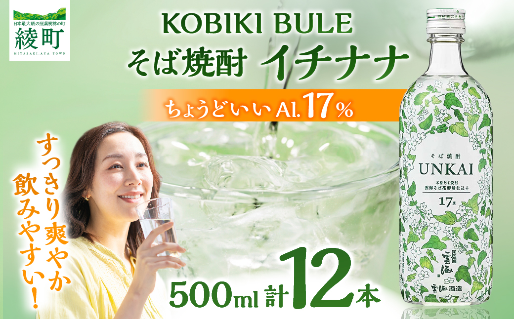 【雲海酒造】雲海そば花酵母仕込み-イチナナ- そば焼酎 17度12本セット_A0087-017