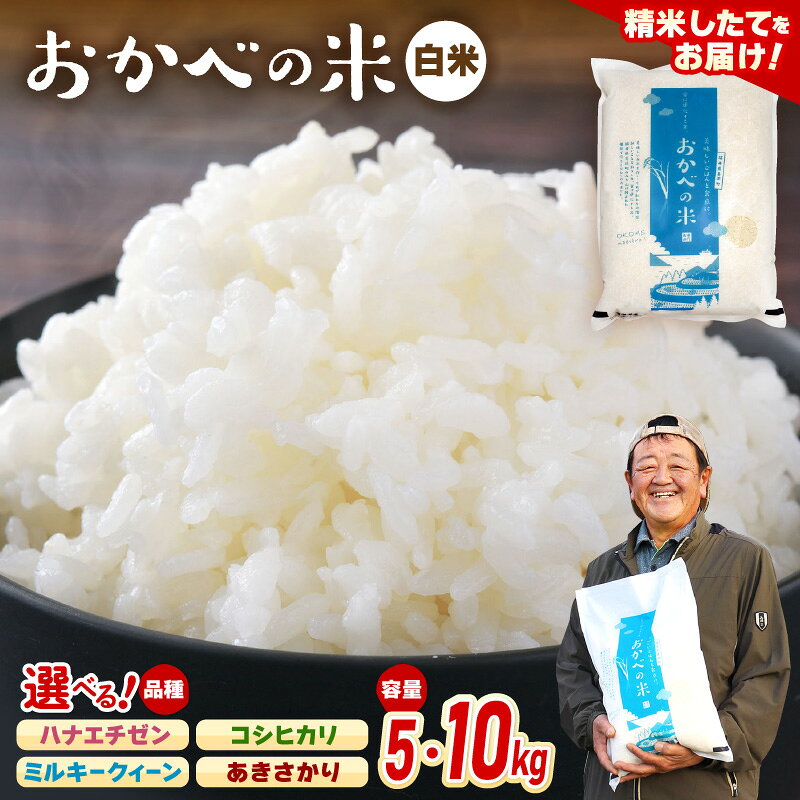 【ふるさと納税】令和8年産 愛情たっぷり 健やかに育った 白米 新米 お米【選べる銘柄：コシヒカリ/ミルキークィーン/ハナエチゼン/あきさかり 】ブランド米 kome【選べる内容量：5kg/10kg】コメ こめ おこめ