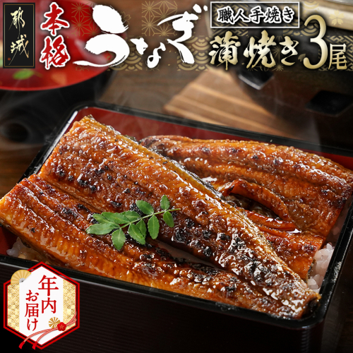 【年内お届け】職人手焼きの本格うなぎ蒲焼き3尾≪2025年12月15日～31日お届け≫_AC-3301-HNY