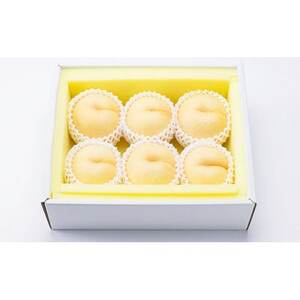 【先行予約・2026年9月上旬頃より発送】しっかりした果肉と果汁たっぷり岡山の白桃(2kg箱)【配送不可地域：離島】【1713733】