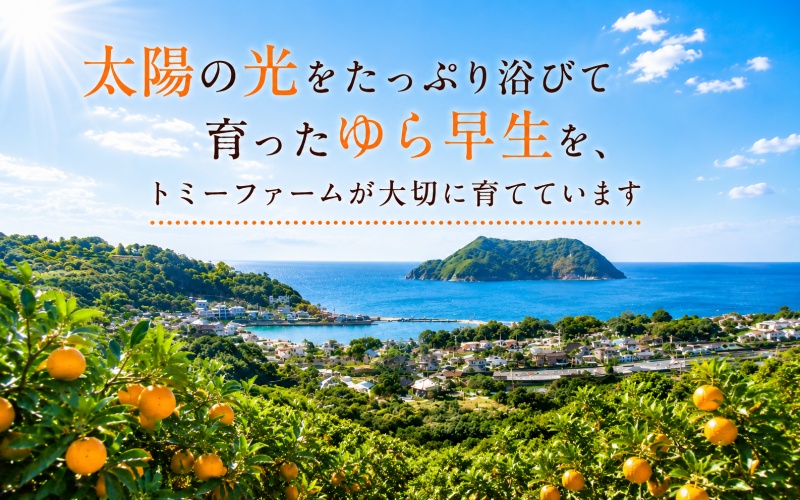 ゆら早生 5kg 家庭用 サイズ混合 / ※2026年10月中旬～11月中旬頃に順次発送予定 和歌山 有田 広川 みかん 由良 柑橘 果物 くだもの フルーツ 果実 【tom003-c-5】
