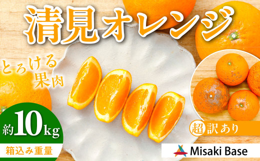 【先行受付】【※超訳あり】清見オレンジ約 10kg ※離島への配送不可（2027年3月下旬より順次発送）  【ふるさと納税 人気 おすすめ ランキング みかん 柑橘 ミカン 蜜柑 mikan 果物 清見 清見オレンジ フルーツ 糖度 甘い きよみ タンゴール 温州 オレンジ 家庭用 おすそ分け 訳あり Misaki Base 愛媛県 伊方町 送料無料】 IKTAB010