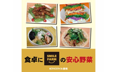 【農薬不使用】洗わず食べられる！ レタス3種詰めわせ 500g×2パック 合計1kg 【 フリルレタス レタス サラダ 葉物 野菜 サラダ 用 レタス 緑黄色野菜 レタス 2袋 レタス 新鮮 レタス 