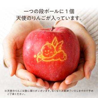 【2025年11月下旬発送】りんご青森産約5kg津軽から完熟サンふじ＆色々ミックス贈答用