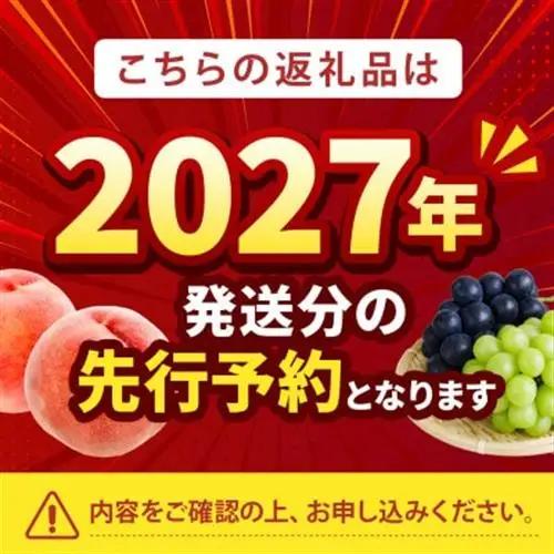 2027年発送先行受付【大玉の王道ハード系 川中島白桃】本場山梨の品種指定約2kg　【配送不可地域：離島・北海道・沖縄県・中国・四国・九州】【1704729】