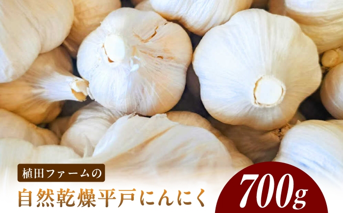 
                  植田ファームの自然乾燥平戸にんにく700g 〈2026年6月10日～2026年10月31日〉700グラム ニンニク ガーリック おつまみ お酒 料理 醤油漬け ガーリックオイル ペペロンチーノ パスタ スパゲッティ 高知県 土佐市【株式会社植田ファーム】[BQAT004]
                