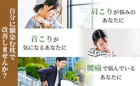 まくら 龍馬の夢枕 1個(枕カバー 緑色1枚付き) fj-0004