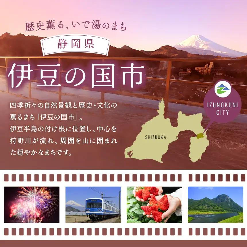 【9,000円分】伊豆の国市宿泊感謝券（1000円×9枚）