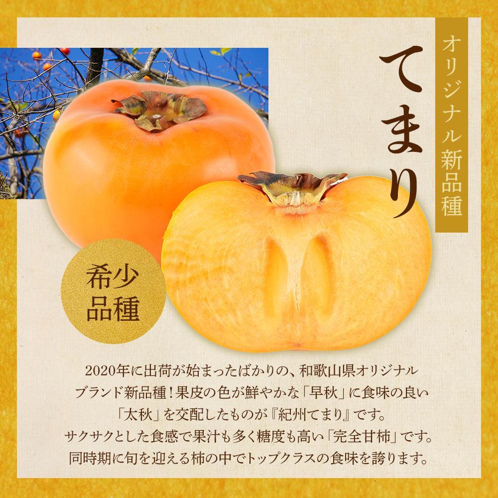 紀州てまり（和歌山県ブランド柿）6～7個入 こだわり農家厳選 先行予約 ［2026年9月末から10月末頃順次発送］［KG27］