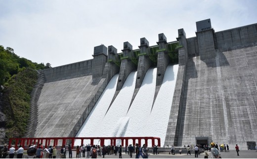 【令和9年5月22日(土)開催】八ッ場ダム点検大放流フェス2027 入場券4枚（駐車券・アガッタン乗車チケット(4人乗り)1枚付き） イベント チケット 八ッ場ダム 自転車型トロッコ セット販売 体験