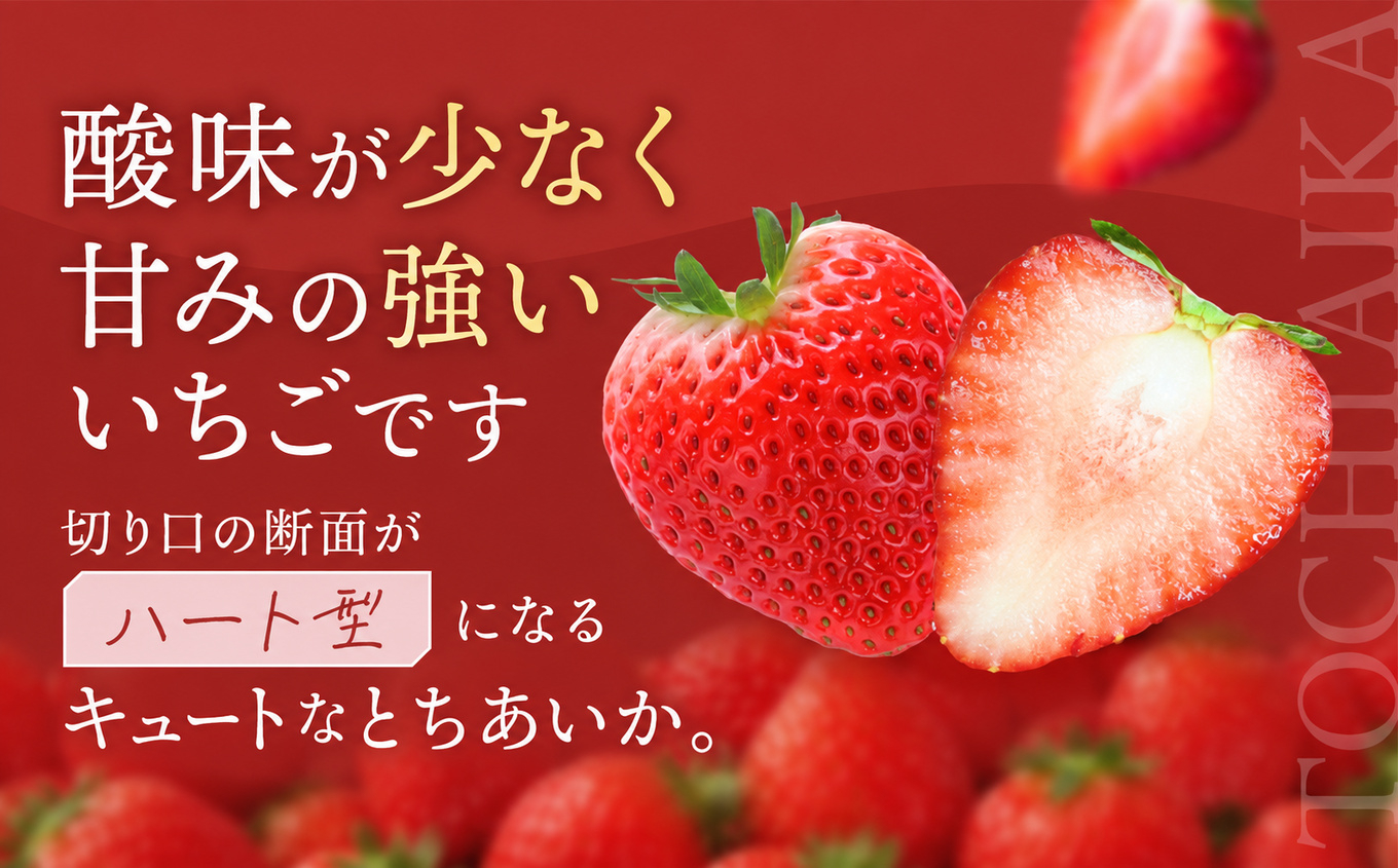 いちご お試し とちあいか 8粒以上【2027年先行予約】 | 苺 イチゴ 栃木県共通返礼品 栃木県矢板市産 【お試し】とちあいか8粒｜5000円