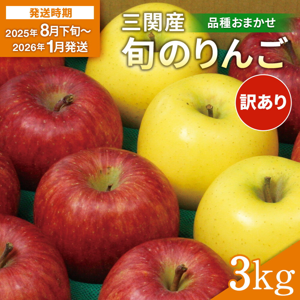 【ふるさと納税】三関産 旬のりんご 家庭用 3kg （8玉～12玉） 旬 りんご 品種お任せ 果物 フルーツ 秋田県 三関 【三関果樹研究会】[J15101]