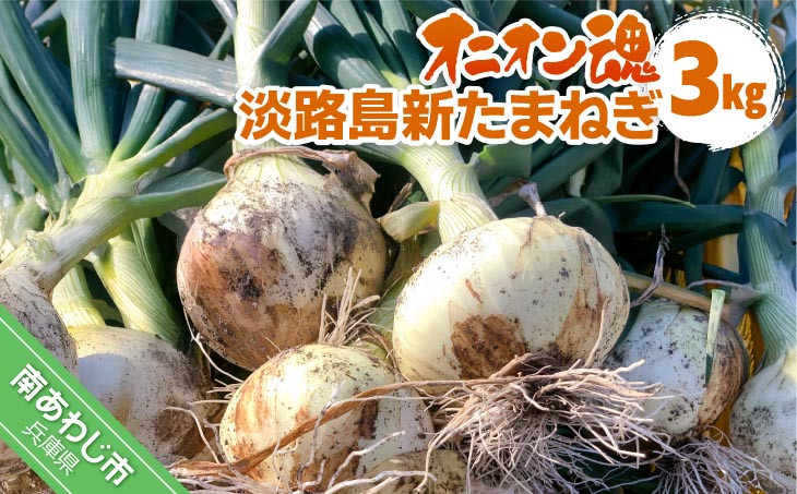 
            【オニオン魂】 淡路島新たまねぎ　3kg　◆配送４月上旬～
          