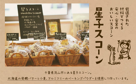 スコーン 詰め合わせ 3種 9個 プレーン チョコチップ クランベリー 《30日以内に出荷予定(土日祝除く)》星子スコーン 千葉県 流山市 おやつ