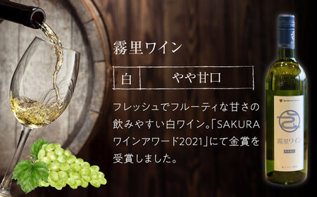 おすすめ 白ワイン 2本セット 霧里ワイン やや甘口 TOMOE デラウェア やや辛口 ワイン 受賞 飲み比べ ワインセット ギフト 三次市 / 広島三次ワイナリー[APAZ010]
