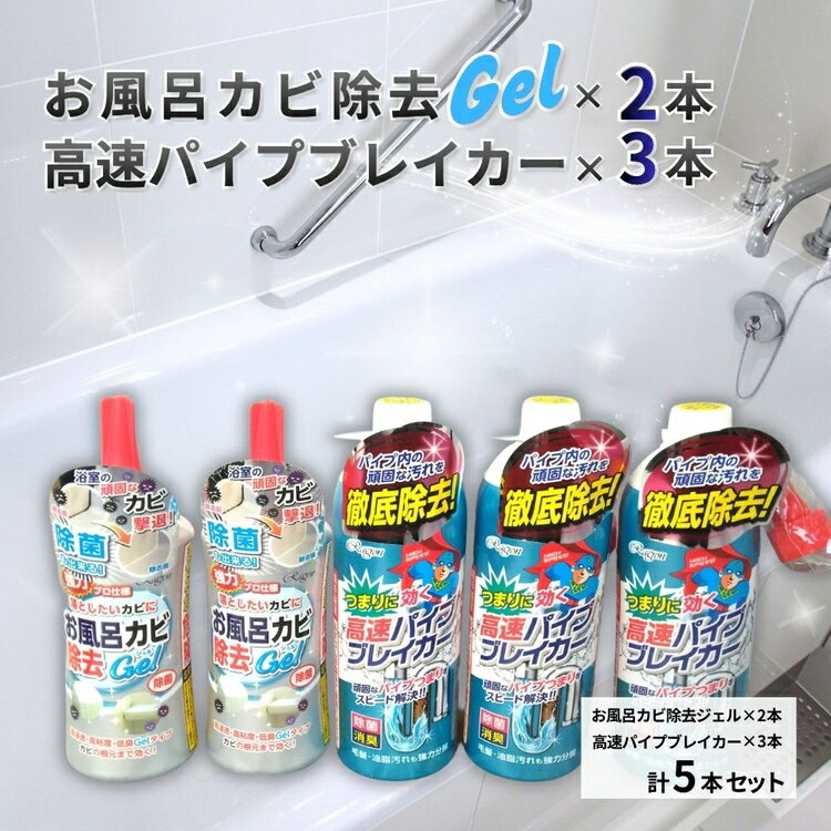【ふるさと納税】【ラグロン】排水口のつまり取りと隅っこのカビ除去剤 高速パイプブレイカー3本とお風呂カビ除去Gel2本セット | 雑貨 日用品 掃除 掃除グッズ 掃除用品 普段使い 消耗品 お風呂 浴室 バス 汚れ カビ取り 大掃除 実用性 岐阜県 瑞穂市 ※離島への配送不可