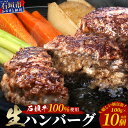 【ふるさと納税】石垣牛100％ ハンバーグ　(100g×10個)【化粧箱入り】｜ふるさと納税 ハンバーグ 和牛 黒毛和牛 石垣牛 国産 牛肉 ブランド牛 冷凍 個包装 ギフト ふるさと 沖縄県 沖縄 石垣 石垣島 石垣市 人気 送料無料 ID-1