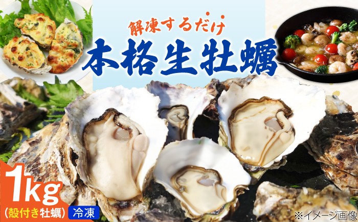 
                  特選 牡蠣三昧！【瞬間冷凍】広島牡蠣　生食用　殻付き1kg カキ かき 広島 料理 簡単 魚介類 海鮮 ギフト 広島県産 江田島市/株式会社門林水産 [XAO064]
                