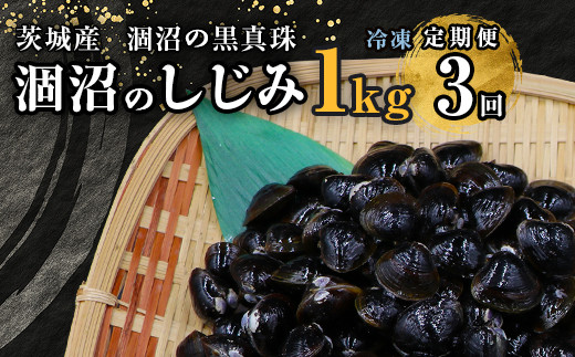 
                  453 しじみ 定期便 1kg 冷凍 砂抜き 500g × 2袋 × 3回 ひぬま やまと シジミ 涸沼 大和 【3ヶ月連続お届け】
                