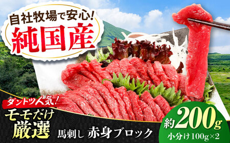 『純国産』熊本の味 赤身 馬刺し 約200g ブロック 冷凍 タレ付き[AYCN017] 馬刺し 馬刺し 馬刺し 馬刺し 馬刺し