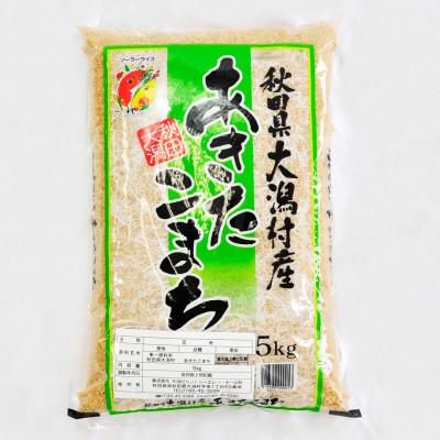 ふるさと納税 大潟村 【毎月定期便】あきたこまち玄米5kg全9回
