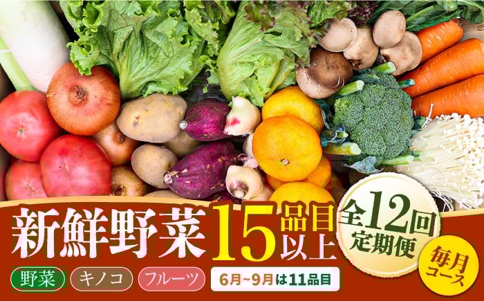 
            野菜 定期便【12回定期便】豪華！野菜 セット 15品目以上 / 野菜定期便 やさい 旬野菜 旬 新鮮 詰合せ セット 春野菜 夏野菜 秋野菜 冬野菜 定期便 / 南島原市 / 吉岡青果 [SCZ019]
          