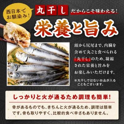 ふるさと納税 京丹後市 【入金確認後、最短5日以降に出荷】丹後の地元鮮魚店が作った店主お任せ干物詰め合わせセット3種/訳あり |  | 03