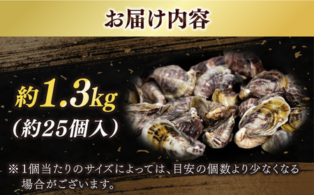 【期間限定！】 養殖カキ 五島小町　生食用 養殖 牡蠣 かき 殻付き 約1.3kg　約25個入　【五島オイスター】[RCN001]
