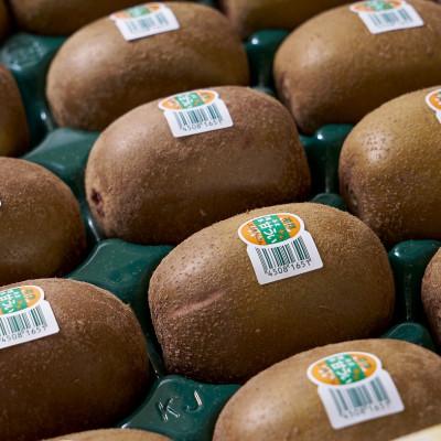 ふるさと納税 桂川町 福岡産ブランドキウイ・甘うぃ12-15玉箱(約1.5kg)(桂川町) |  | 01