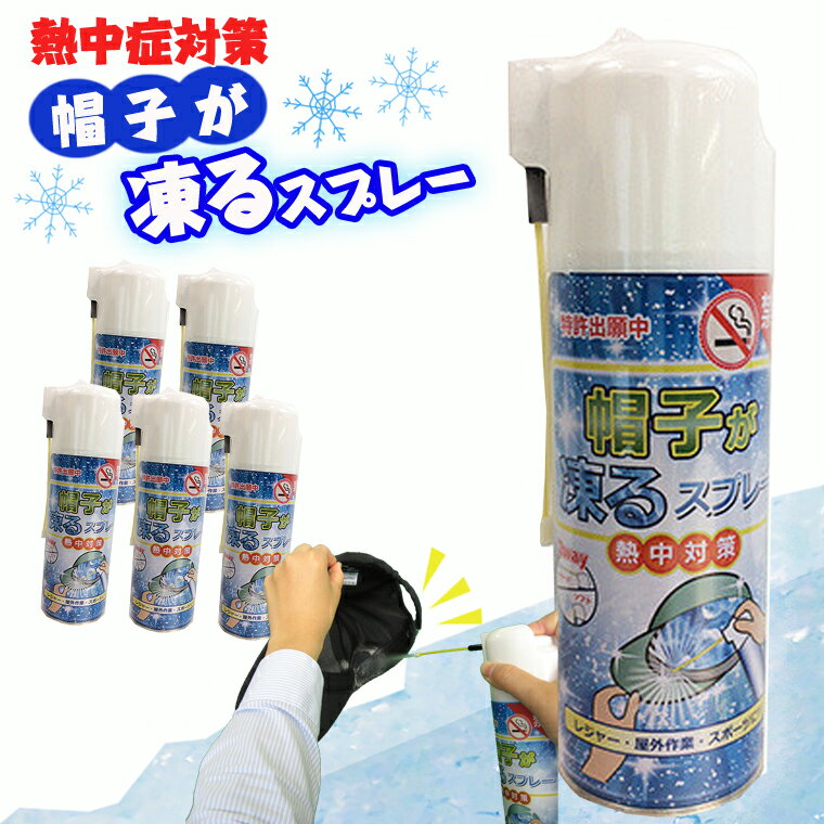 【ふるさと納税】【特許出願中】 熱中症対策 瞬間冷却 帽子が凍るスプレー　420ml×5本セット　暑さ対策 レジャー 屋外作業 スポーツ キャップ ひんやりグッズ 冷んやり 冷たい 極寒 大容量 コールドスプレー 冷却スプレー 運動会 スポーツ 建設業界 野外フェス