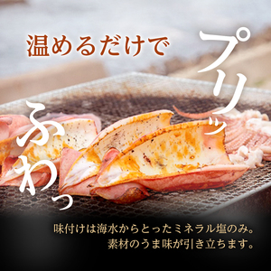 イカ 炭火焼きイカ 8パック セット 青森 いか 干物 干物セット するめ スルメ スルメイカ 海鮮 魚介類 魚介 海産物 国産 加工食品 惣菜 青森県 鰺ヶ沢町 ※ご入金確認後 3ヶ月以内の発送にな