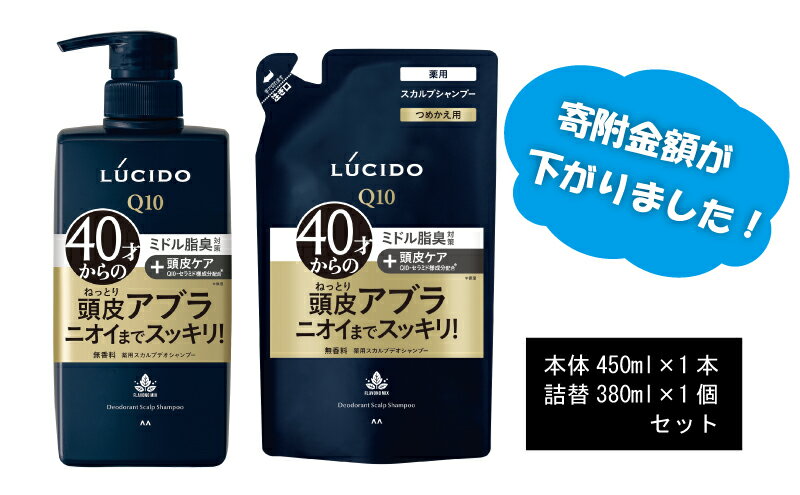 【ふるさと納税】 マンダム ルシード 薬用 スカルプ デオ シャンプー (本体1個＋詰替用1個)MA-18[ LUCIDO 頭皮ケア 臭いケア 男性化粧品 おしゃれ 日用品 ]　美容・薬用スカルプデオシャンプー・シャンプー・ヘアケア・薬用シャンプー・詰め替え用・ニオイケア
