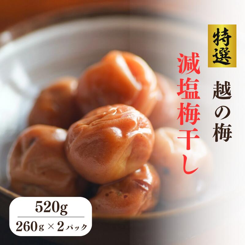 【ふるさと納税】特級 無添加 減塩 梅干し 越の梅 520g(260g×2パック）新潟県糸魚川 白梅 梅ちゃんfarm笠井 うめぼし 塩分8% カメを使った熟成 すっぱい梅干し 梅本来の味わい
