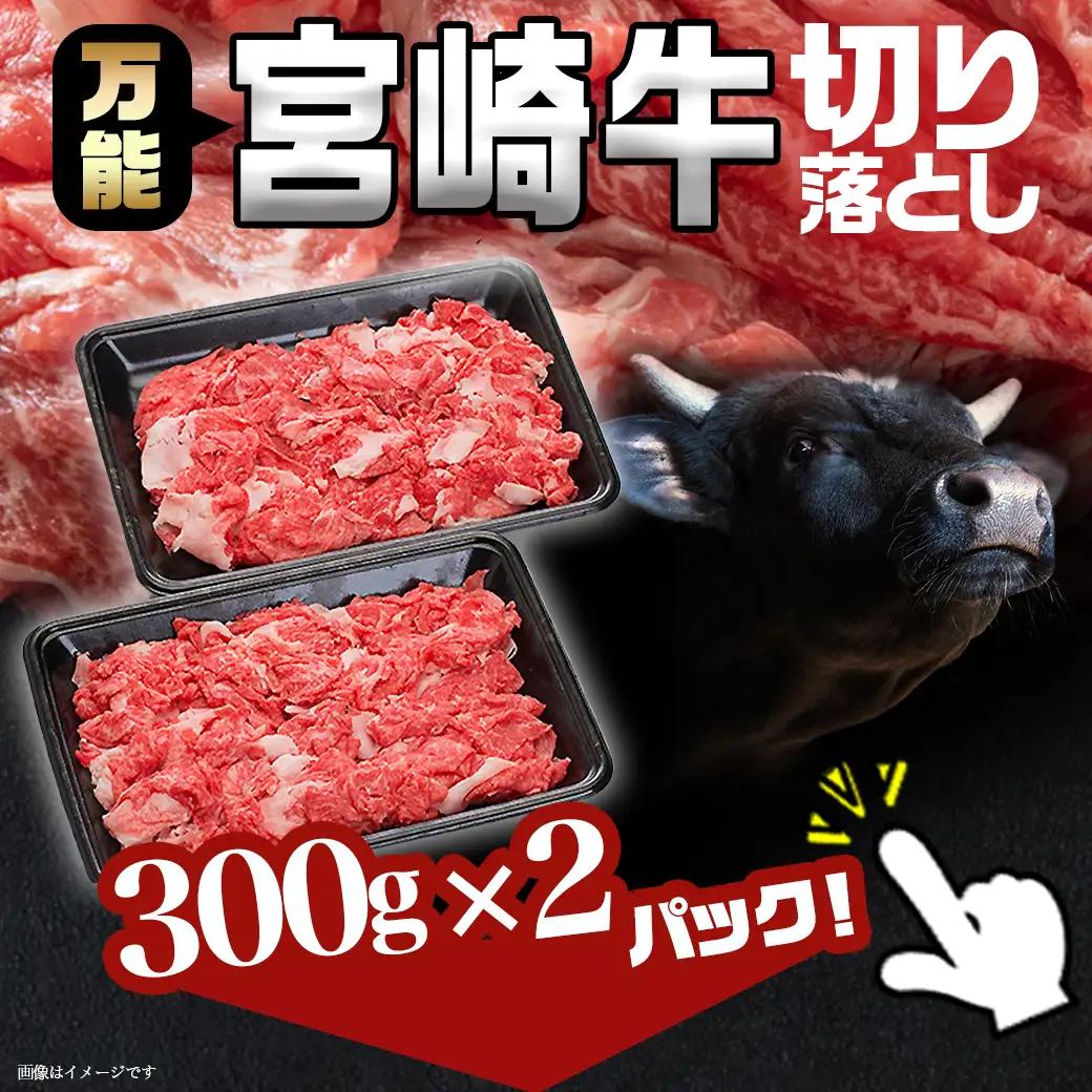 宮崎牛切り落とし600g〔AA-89-006-600g〕_(都城市) 国産黒毛和牛 ブランド牛 牛肉 宮崎牛切落とし肉 300g×2パック 計600グラム 牛丼や炒め物などに 万能 冷凍 国産 九州産
