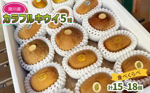 
                  掛川産 カラフルキウイ 5種・15個～18個セット:キウイフルーツカントリーJapan　5887【1652650】
                